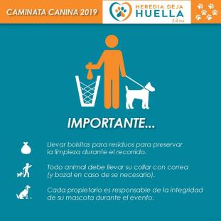 Caminata canina y Feria de salud y recreación animal