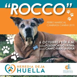 Caminata canina y Feria de salud y recreación animal