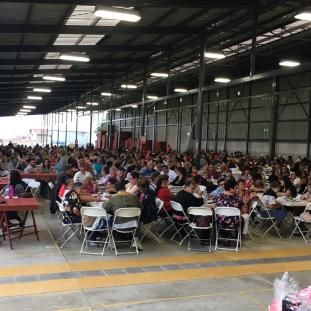 Bingo Mujeres en Rosa