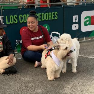Caminata Canina Heredia Deja Huella 2022