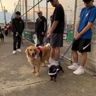 Caminata Canina Heredia Deja Huella 2022